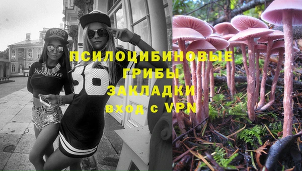 спиды Алзамай